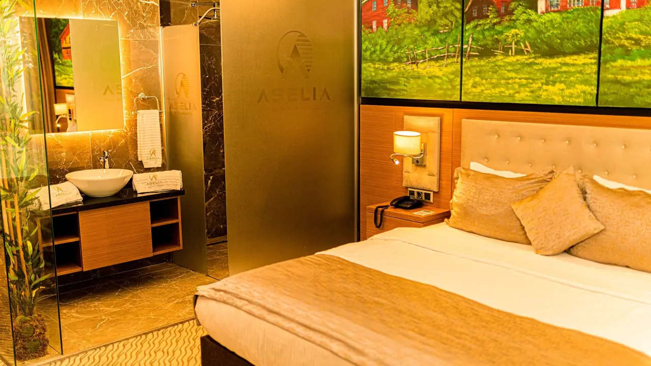 Aselia hotel